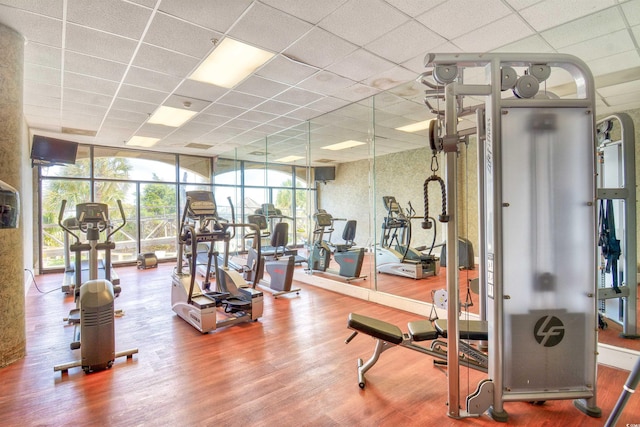 gym featuring a paneled ceiling, wood finished floors, and a wall of windows