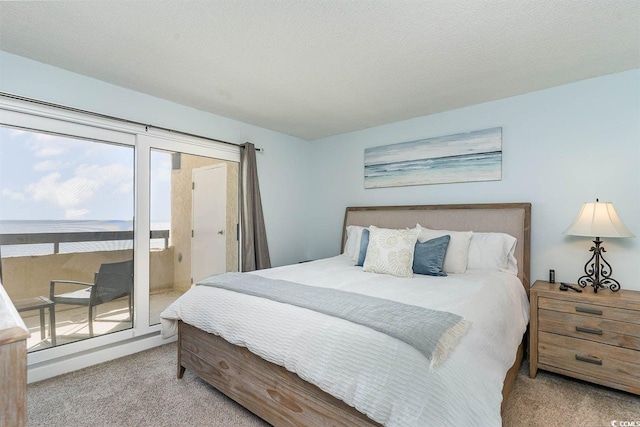6100 N Ocean Blvd Unit 804, North Myrtle Beach, SC 29582 - carpeted bedroom with access to exterior