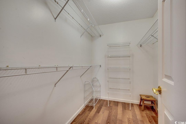 1154 Lampwick Ln, Murrells Inlet, SC 29576 - spacious closet featuring light wood-style floors