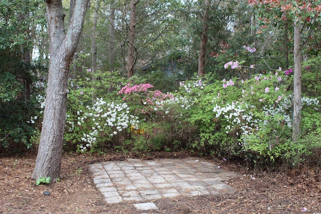 880 Briarwood Dr, Myrtle Beach, SC 29572 - view of yard with a patio area