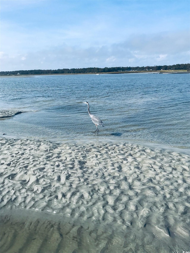 6000 Ocean Blvd N Unit 108, North Myrtle Beach, SC 29582 - water view