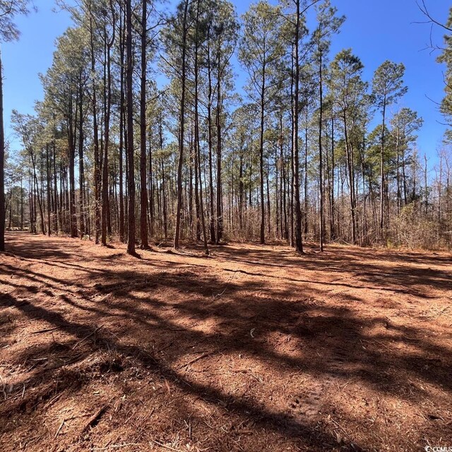 0 Goose Bay Rd, Loris, SC 29569