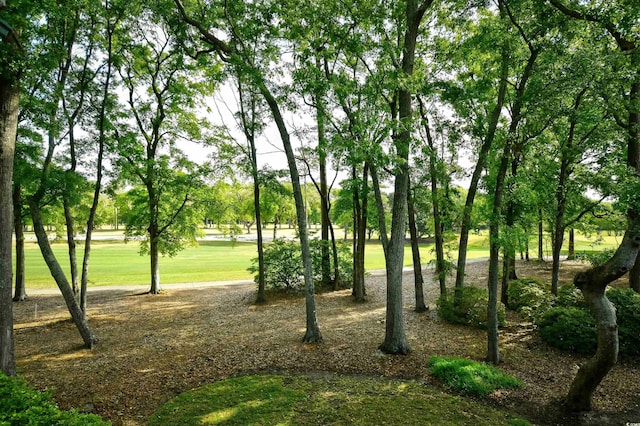 view of community with a yard
