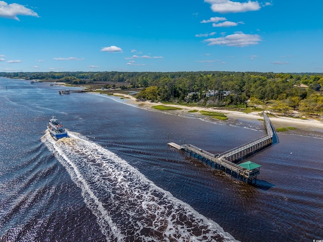 2278 Big Landing Dr, Little River, SC 29566 - bird's eye view with a view of trees and a water view