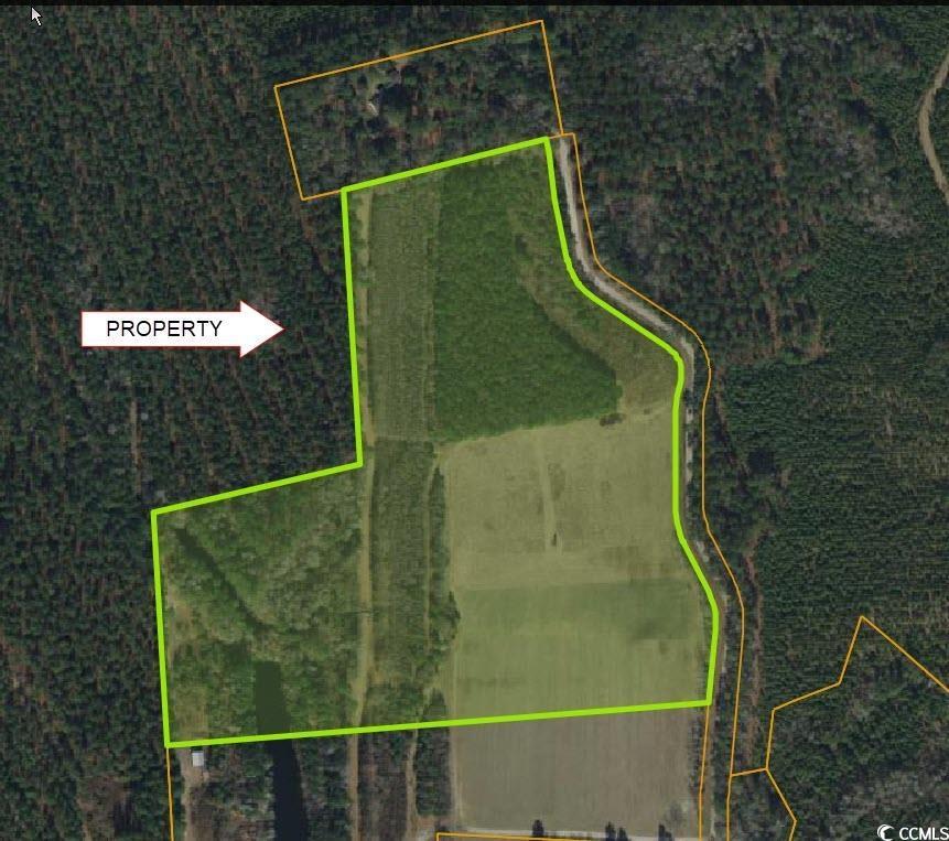 TBD Womack Rd, Nichols, SC 29581 - photo 1