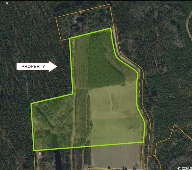 TBD Womack Rd, Nichols, SC 29581