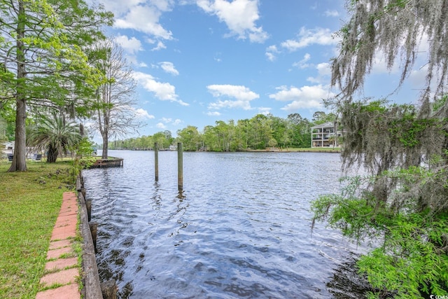 3798 Ed Smith Ave, Myrtle Beach, SC 29588 - photo 40