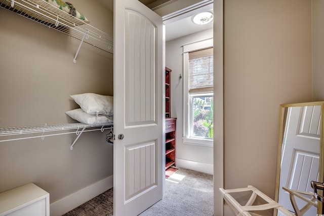 4964 Salt Creek Ct, North Myrtle Beach, SC 29582 - spacious closet with carpet