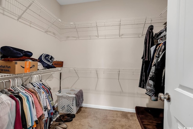 walk in closet featuring carpet