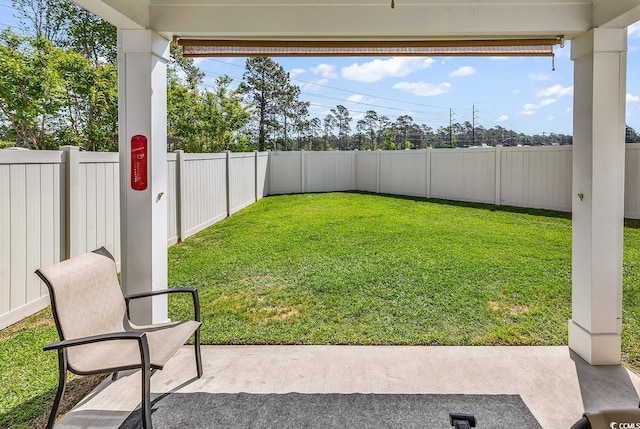 view of yard with a fenced backyard and a patio