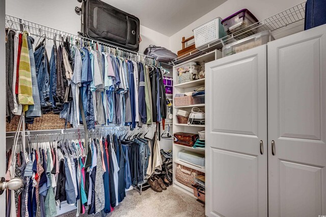 walk in closet featuring carpet flooring