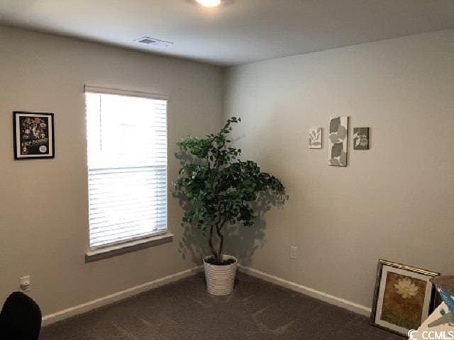 1835 Berkley Village Loop, Myrtle Beach, SC 29579 - miscellaneous room with plenty of natural light and carpet flooring