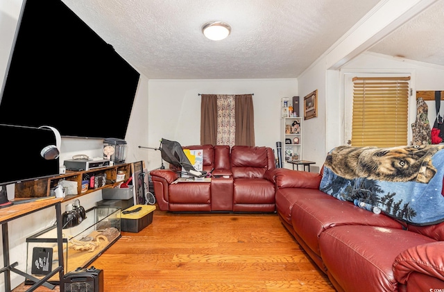 living room featuring wood finished floors and a textured ceiling