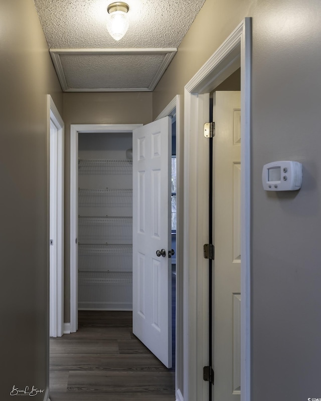 409 5th Ave S Unit 409, Surfside Beach, SC 29575 - hallway featuring dark wood-style floors and attic access