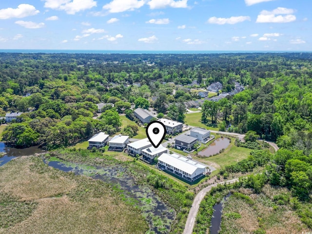 19 Red Skiff Ln Unit 15, Pawleys Island, SC 29585 - bird's eye view of a forest and a nearby body of water