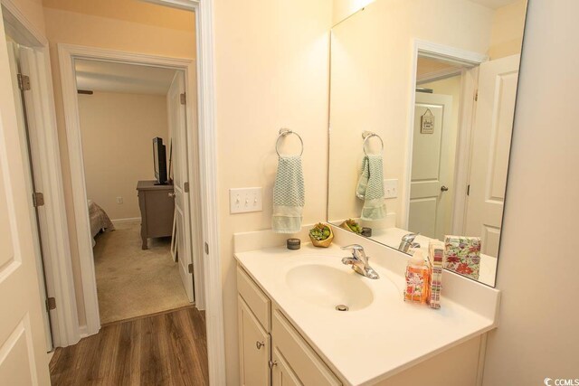 2005 Willow Run Dr Unit C, Little River, SC 29566 - bathroom with wood finished floors and vanity