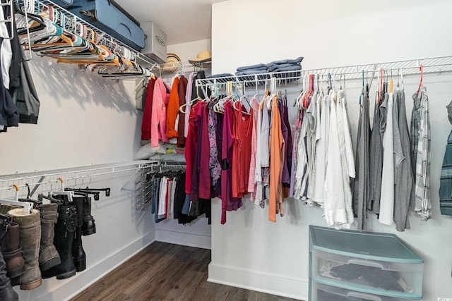 7011 Blade Beak Ln, Myrtle Beach, SC 29588 - spacious closet featuring wood finished floors