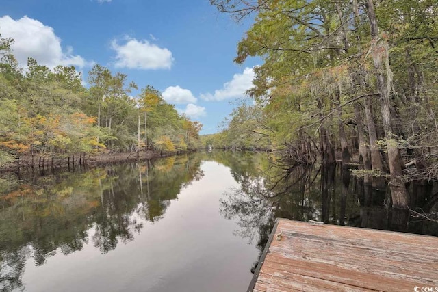 982 Cherrystone Loop, Conway, SC 29526 - dock area with a water view and a view of trees