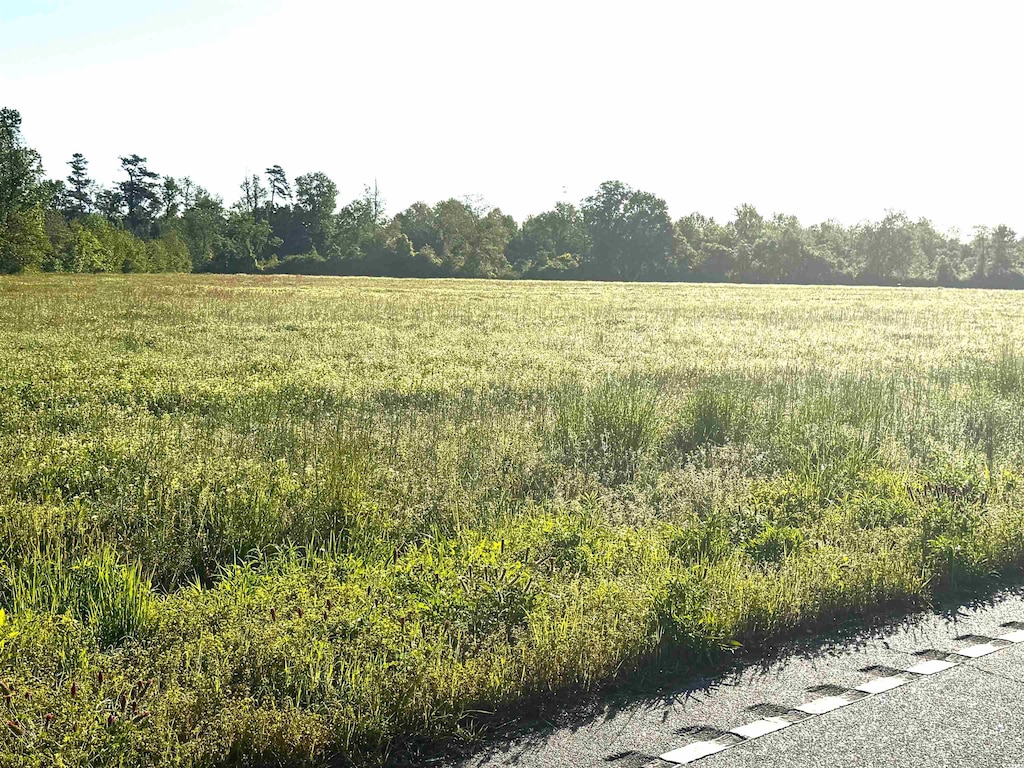 TRACT1 Borkowitz Rd, Scranton, SC 29591