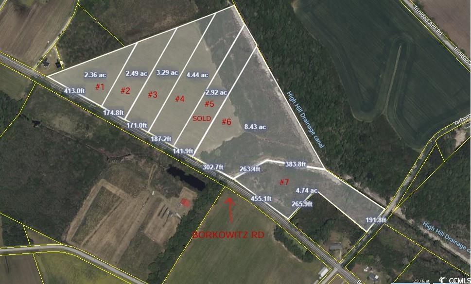 TRACT1 Borkowitz Rd, Scranton, SC 29591