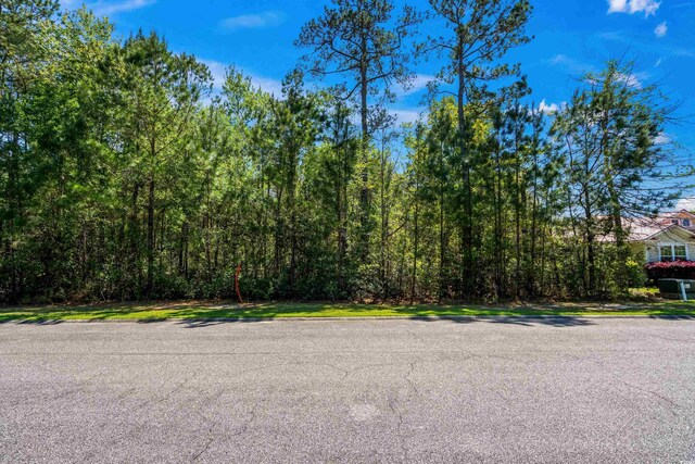 177 Oak Hampton Dr, Murrells Inlet, SC 29576 - photo 1