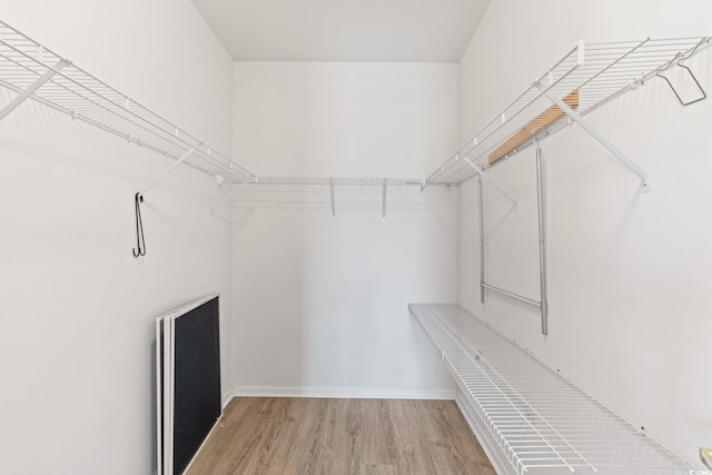 spacious closet featuring wood finished floors