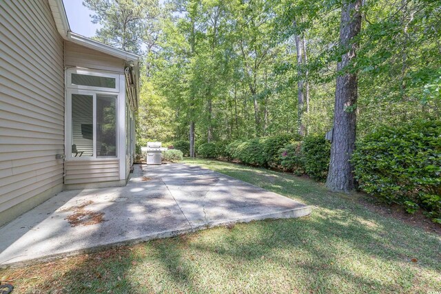 view of yard featuring a patio