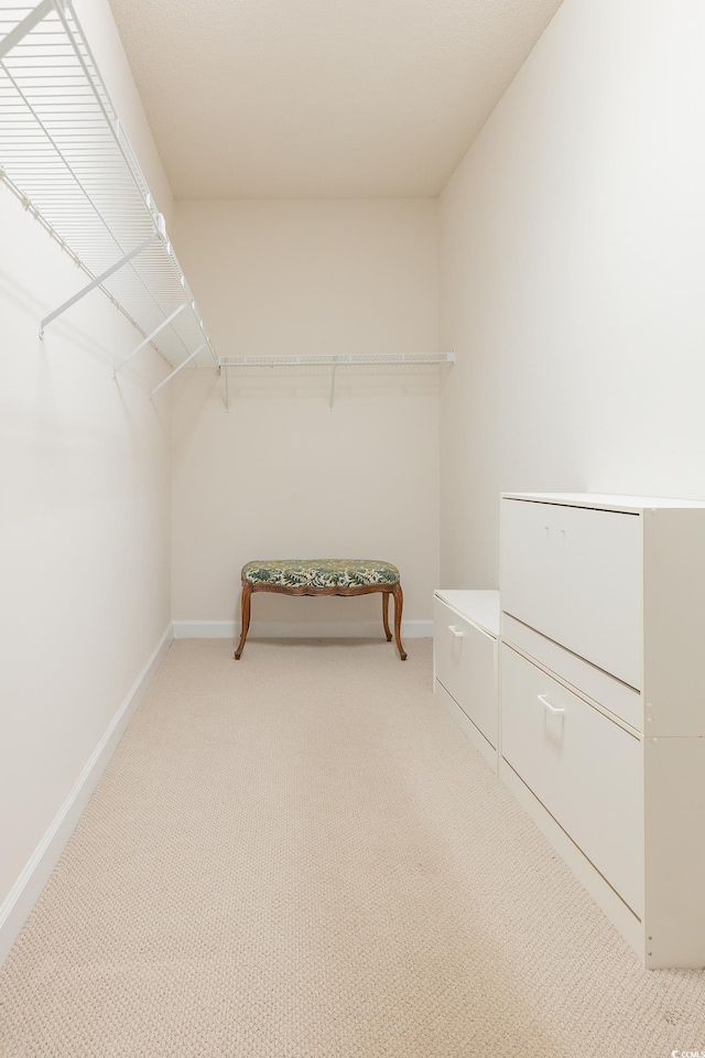 walk in closet with light carpet