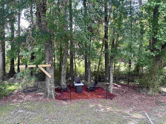 190 Hamilton Way, Conway, SC 29526 - view of yard