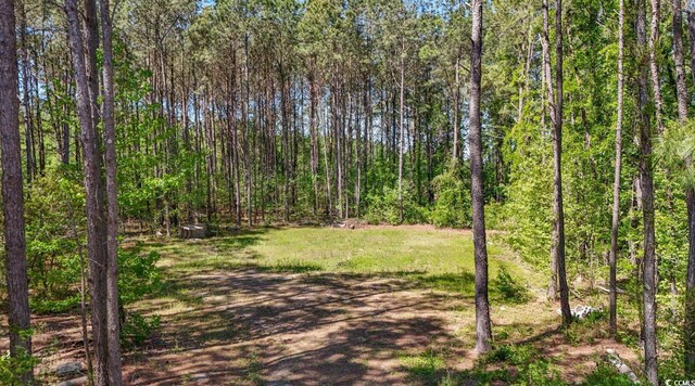 Kickapoo Dr, Green Sea, SC 29545