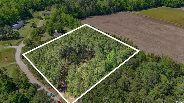 Kickapoo Dr, Green Sea, SC 29545