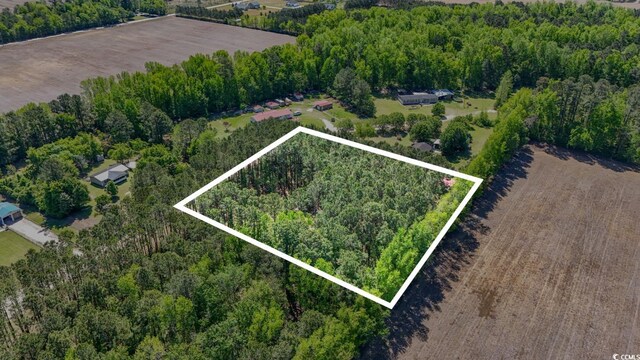 Kickapoo Dr, Green Sea, SC 29545