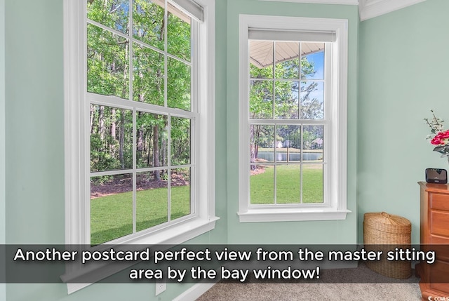 1249 Trent Dr, Murrells Inlet, SC 29576 - view of details