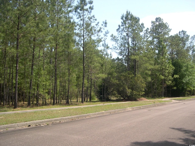 103 Pineberry Dr, Georgetown, SC 29440 - photo 2