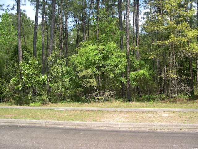 103 Pineberry Dr, Georgetown, SC 29440 - photo 1