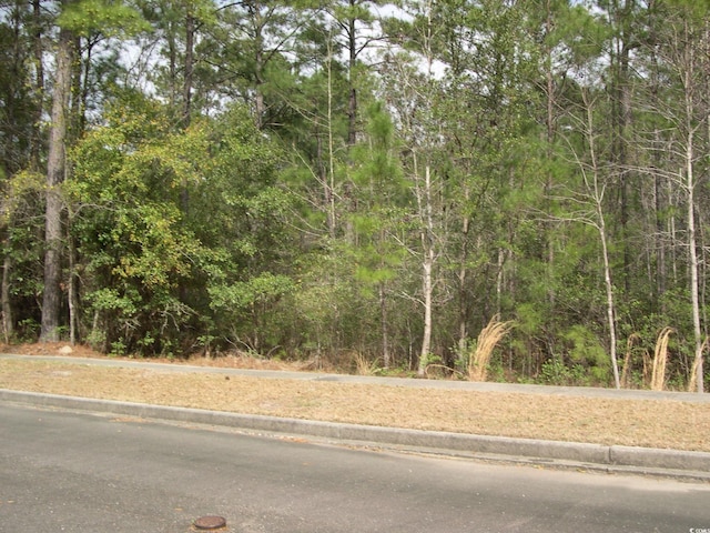 103 Pineberry Dr, Georgetown, SC 29440 - photo 6