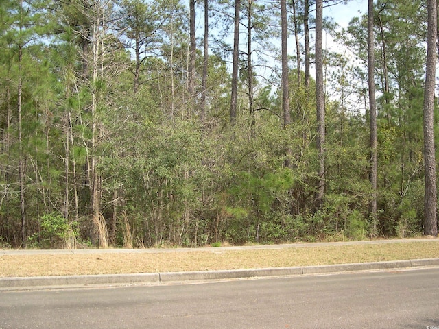 103 Pineberry Dr, Georgetown, SC 29440 - photo 5