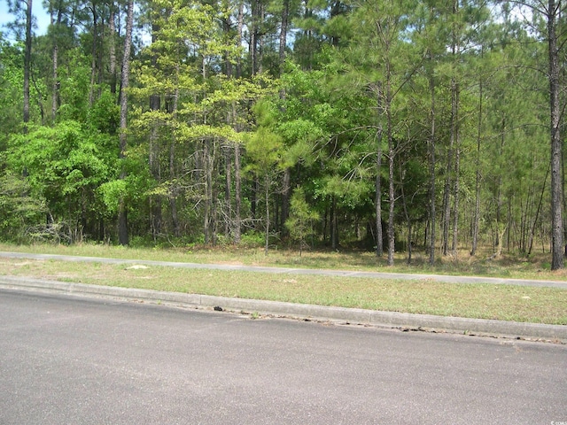 103 Pineberry Dr, Georgetown, SC 29440 - photo 4