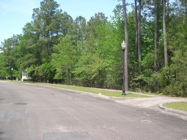 103 Pineberry Dr, Georgetown, SC 29440 - photo 3