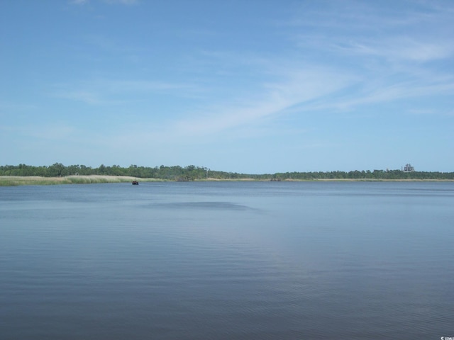 103 Pineberry Dr, Georgetown, SC 29440 - photo 21