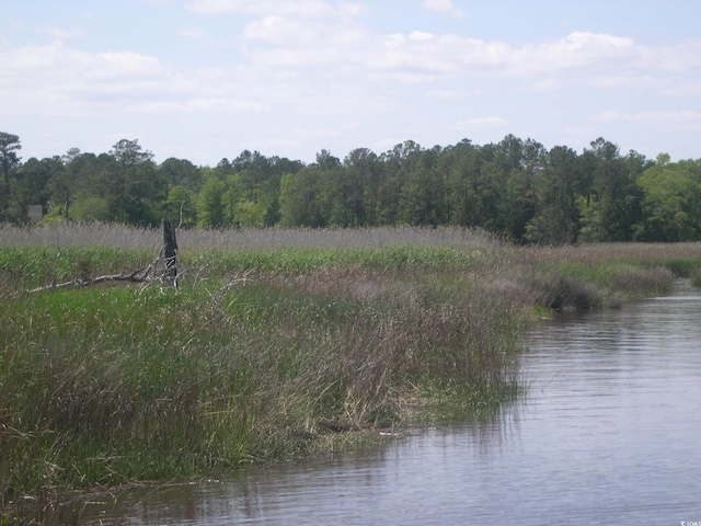103 Pineberry Dr, Georgetown, SC 29440 - photo 20