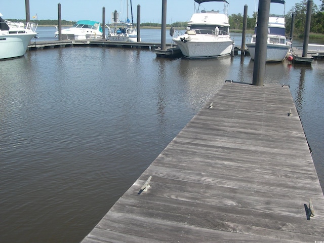 103 Pineberry Dr, Georgetown, SC 29440 - photo 12