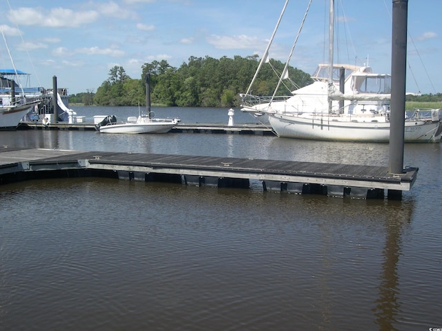 103 Pineberry Dr, Georgetown, SC 29440 - photo 11