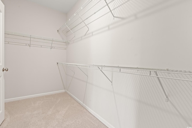 512 Charlton Blvd, Georgetown, SC 29440 - walk in closet with light colored carpet
