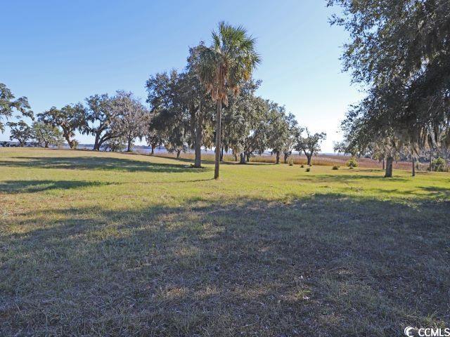 512 Charlton Blvd, Georgetown, SC 29440 - view of community featuring a yard