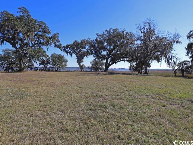 512 Charlton Blvd, Georgetown, SC 29440 - view of green lawn with a view of countryside