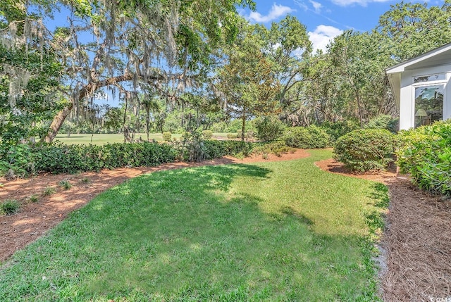 view of green lawn