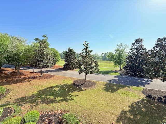 1025 World Tour Blvd Unit 205, Myrtle Beach, SC 29579 - view of property's community featuring a yard
