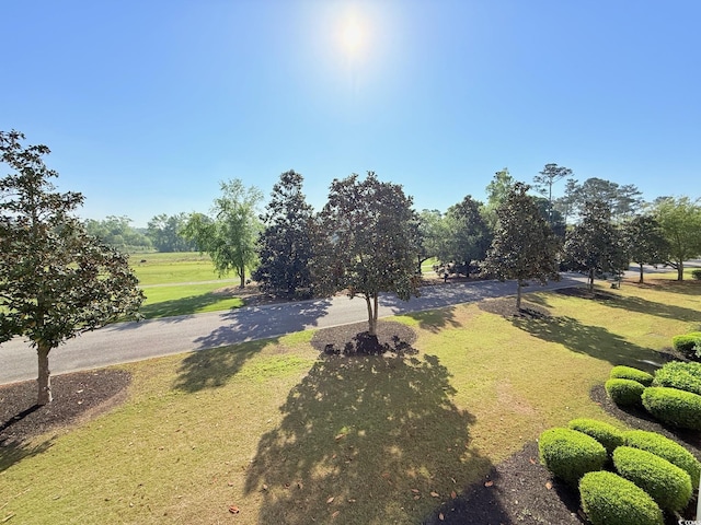 1025 World Tour Blvd Unit 205, Myrtle Beach, SC 29579 - view of yard