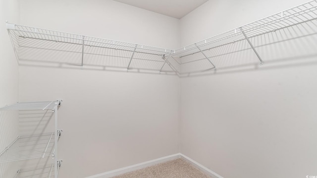 843 Buttonwood Dr, Conway, SC 29527 - photo 9